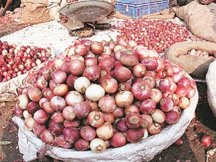Onion producers arrest suspect spreading fake seeds
