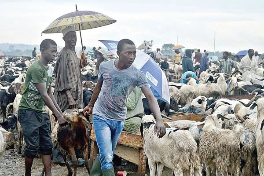 Sallah: TRACE warns motorists against drunk-driving