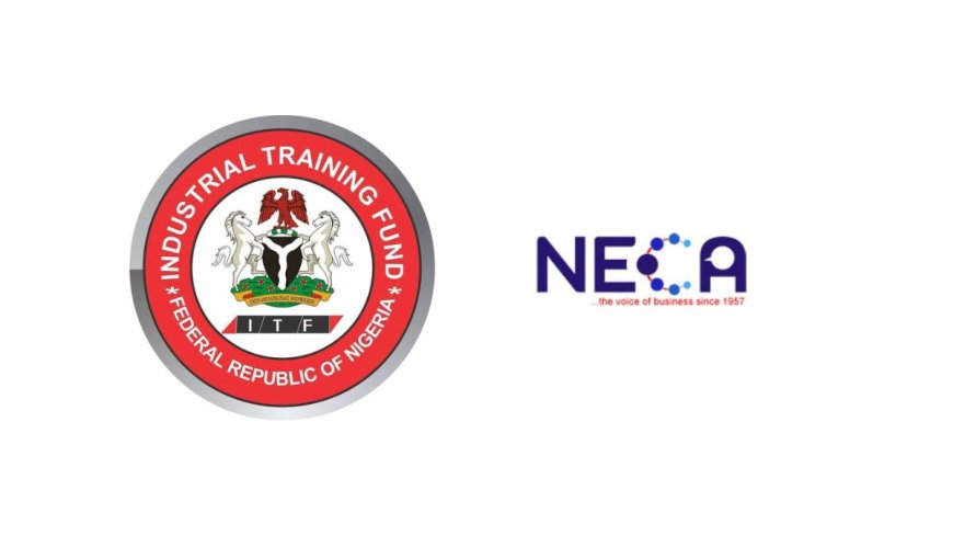 ITF/NECA Technical Skills Development Programme 2025 | How To Apply