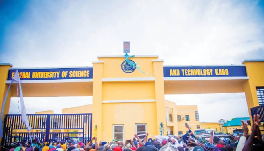 Kano APC backs Tinubu’s second term bid