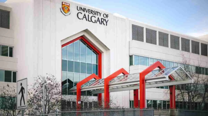 2025 University of Calgary Entrance Scholarship in Canada | How to Apply
