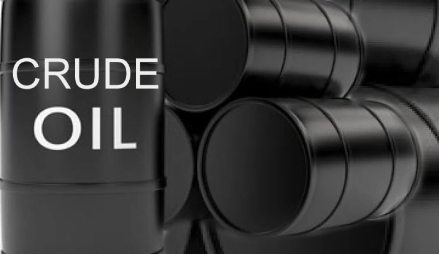 Firm completes first crude export from Otakikpo onshore terminal