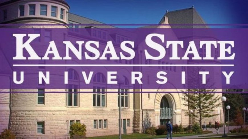 Kansas State University Scholarship 2025 in United States: How To Apply