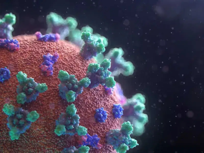Study reveals how COVID-19 virus continues to evolve