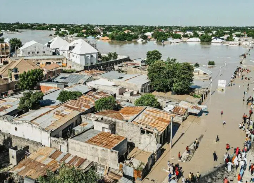 49 killed in South Africa flooding, children missing