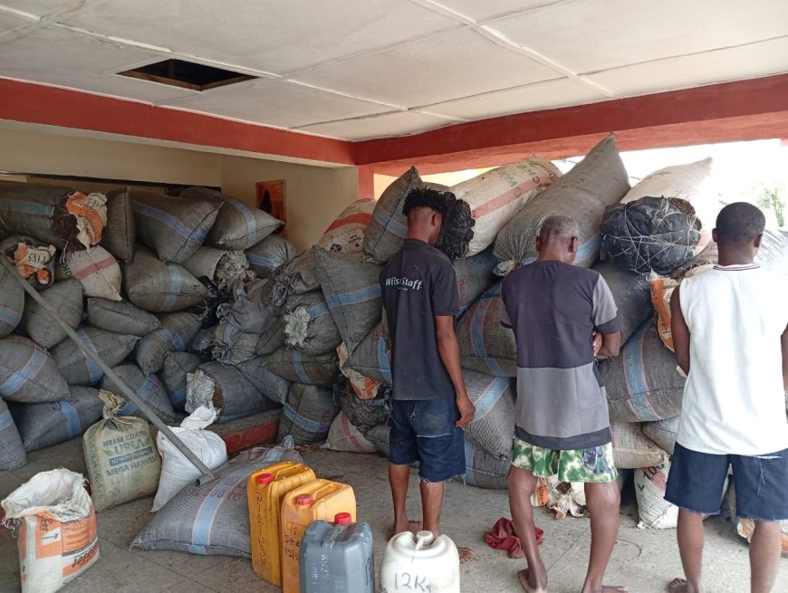 NDLEA seizes 2,687 tonnes of cannabis in C’River