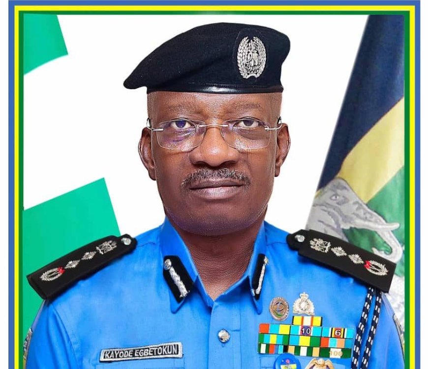 IG, assemblies differ on state police
