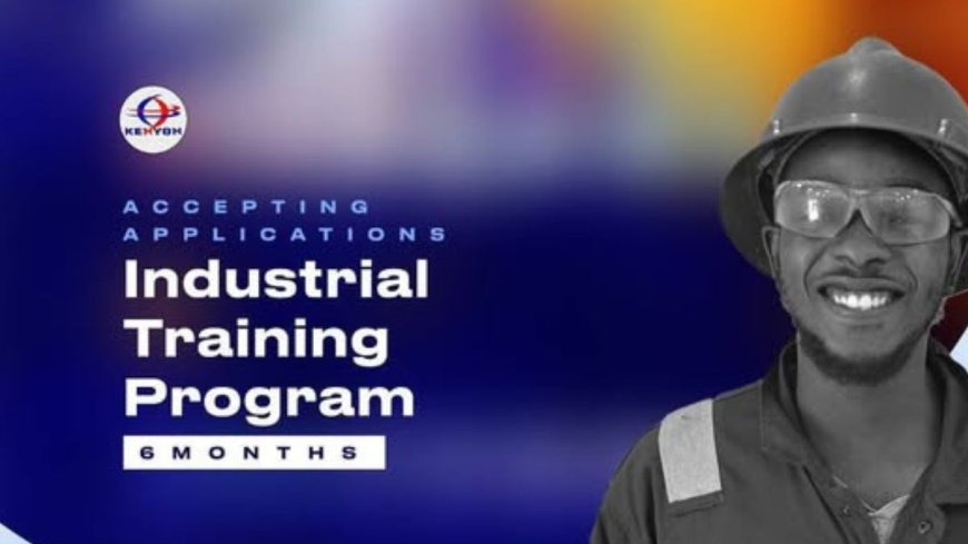 Kenyon Undergraduate Industrial Training (IT/SIWES) Program 2025 | How To Apply