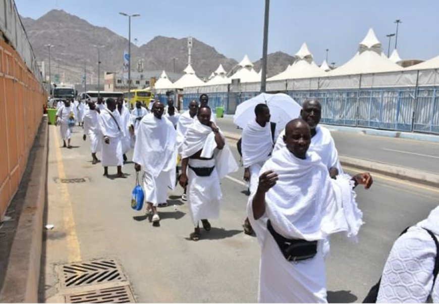 Over 6,500 Nigerian pilgrims return from Hajj – NAHCON