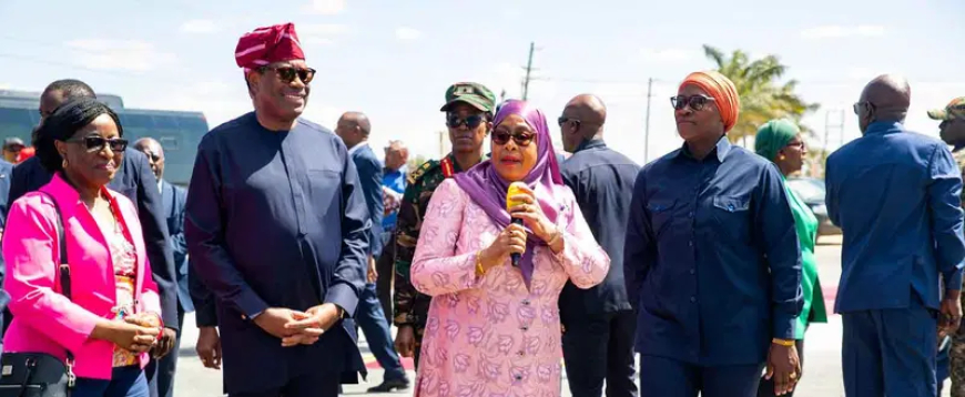 You’re a visionary leader’ – Tanzania President celebrates Adesina’s impactful legacy at AfDB