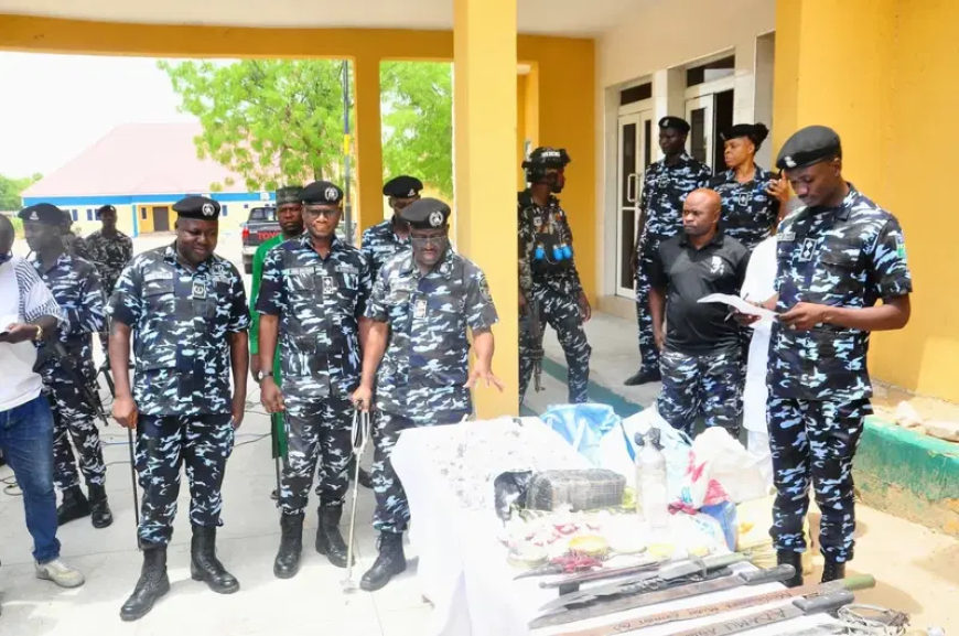 Police arrest 210, seize drugs, weapons in Borno