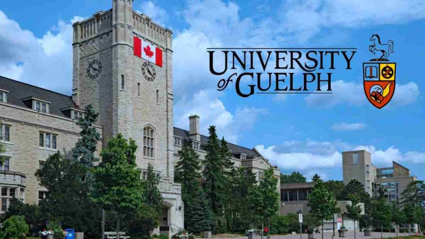 University of Guelph Scholarship in Canada 2025 | Fully Funded