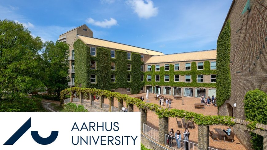 Danish Government Scholarship at Aarhus University 2026 | Fully Funded