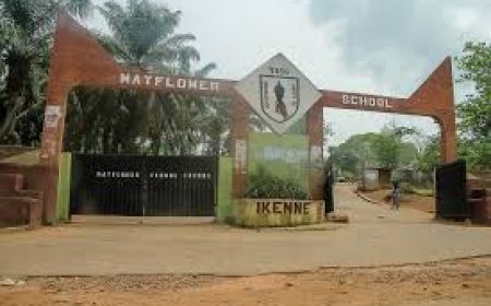 Mayflower alumni seek Ogun support for school upgrade