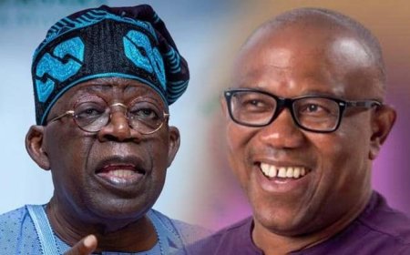 Saint Lucia: Tinubu’s aide fires back at Obi’s criticism