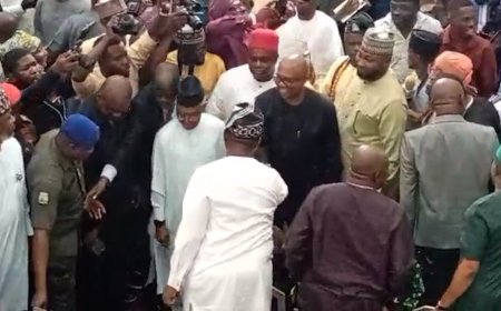 Atiku, Obi, El-Rufai, Amaechi, others attend ADC coalition unveiling in Abuja
