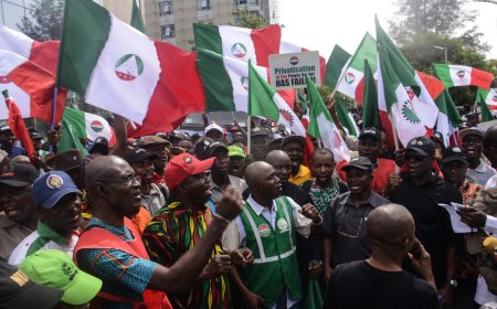 Ogun workers reject pension scheme over missing N82bn