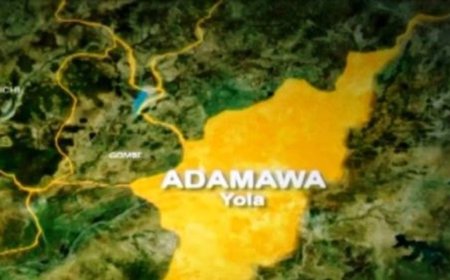 Two houses burnt as fresh crisis erupts in Adamawa