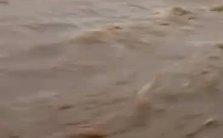 Flood washes ashore four Gombe residents