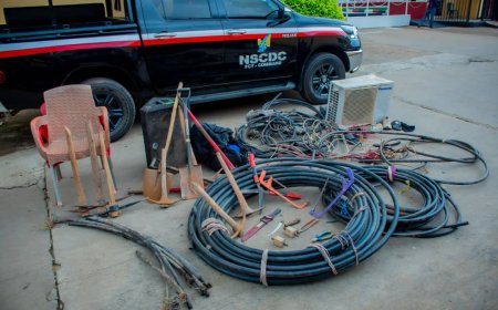 NSCDC arrests 16 suspected vandals, thieves, illegal miners in FCT