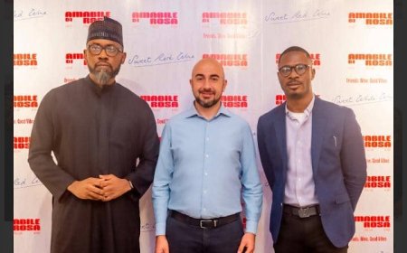 Nigeria’s sweet wine market hits $420m driven by youthful tastes