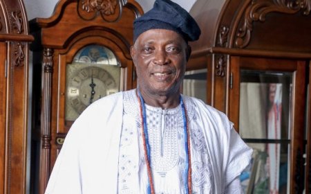 Meet ex-Oyo governor, Rasheed Ladoja, set to become 44th Olubadan