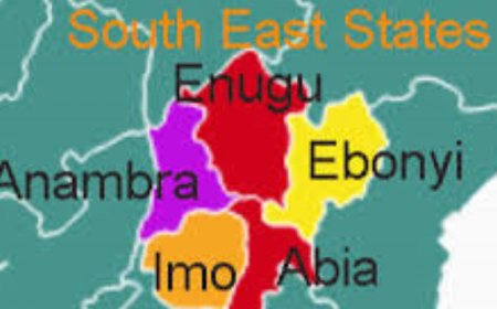 2027: South-East professionals back Tinubu, dismiss opposition coalition