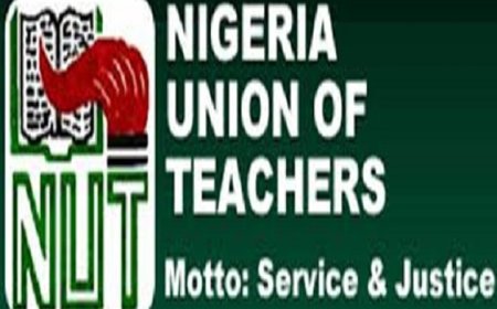 Abuja teachers suspend strike after N16bn debt payment