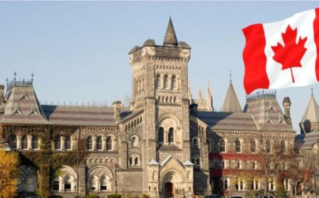 Ontario Graduate Scholarship (OGS) 2025/26 in Canada | How To Apply