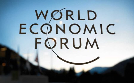 2025 World Economic Forum Early Career Program in USA | How to Apply