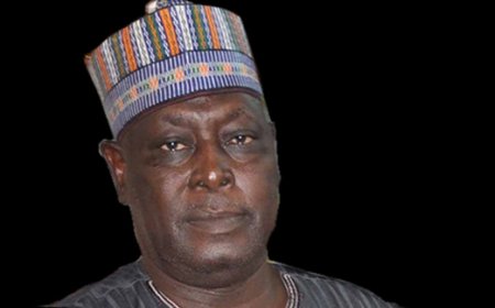 2027: Govs, APC leaders secretly backing opposition- Babachir Lawal