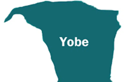 Yobe approves expansion of security outfit