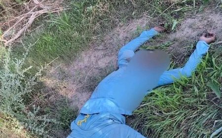 Soldiers kill 24 Boko Haram terrorists in Borno