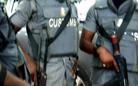 Customs foil donkey genitals smuggling, intercepts 40ft container