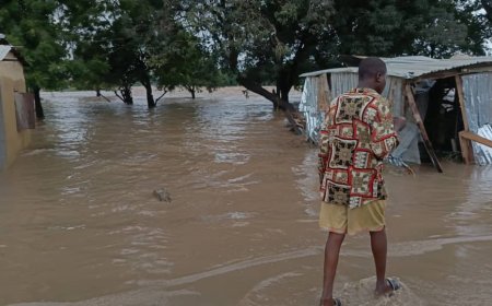Blocked rail embankment caused Niger flood tragedy — NIRSAL