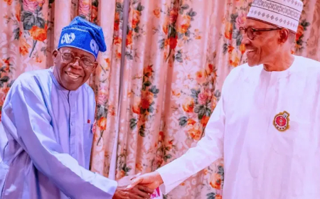 If not for Tinubu, Buhari wouldn’t have won APC primary — Presidency