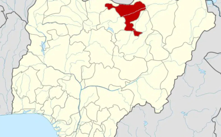 Two dead, 10 injured in Jigawa auto crash