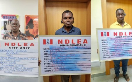 NDLEA uncovers drugs hidden in microwaves, lipsticks, arrests wanted drug kingpin