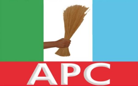 Lagos LG poll: APC sweeps all chairmanship seats
