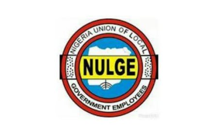 FCT NULGE suspends strike, directs members to resume Tuesday
