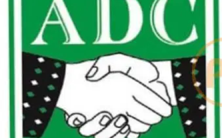 Our job is half done with Nigerians suffering — ADC