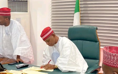 Kano probes death of two schoolboys
