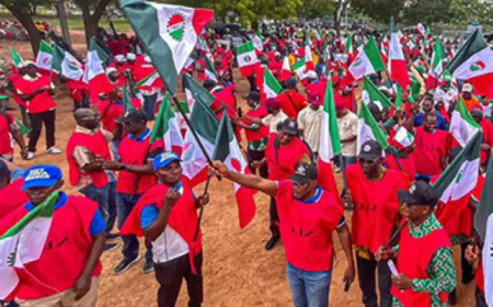 NLC Strike paralyses Govt activities in Ogun