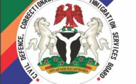 FG suspends recruitment into paramilitary agencies, reopens portal July 21