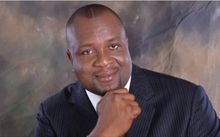 Asue Ighodalo’s campaign director resigns from PDP