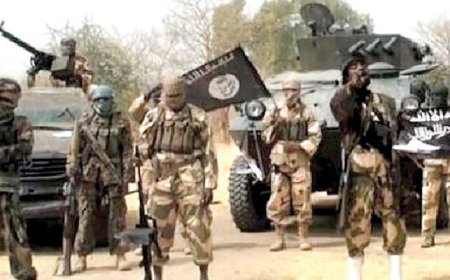 FG, states delay 130,000 forest guards’ recruitment amid rising killings
