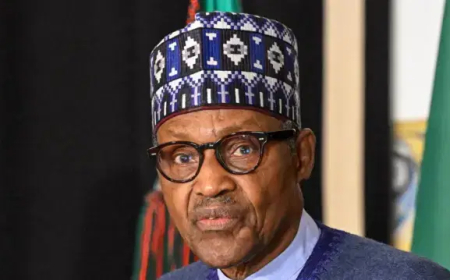 Buhari could have lived if treated at our facility — ABUAD Hospital’s CMD