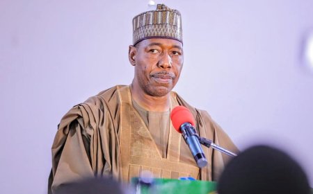 Overstaffing stalls N70,000 minimum wage in Borno