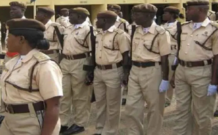 FG reopens recruitment portal for Civil Defence, Immigration, others [how to apply]