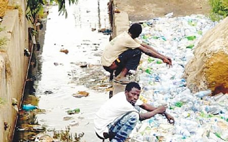 Gombe students urge govt to criminalise open defecation
